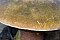 Flockenstieliger Hexenröhrling