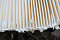 Parasol