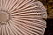 Rosa Helmling
