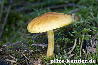 Unbekannt 11