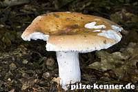 Unbekannt 17