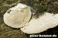 Unbekannt 2