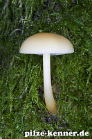 Unbekannt 21