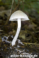 Unbekannt 22