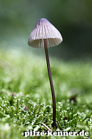 Unbekannt 26