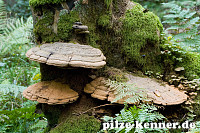 Unbekannt 29