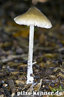 Unbekannt 30