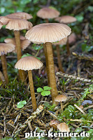 Unbekannt 37