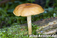 Unbekannt 38