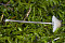 Weißmilchender Helmling